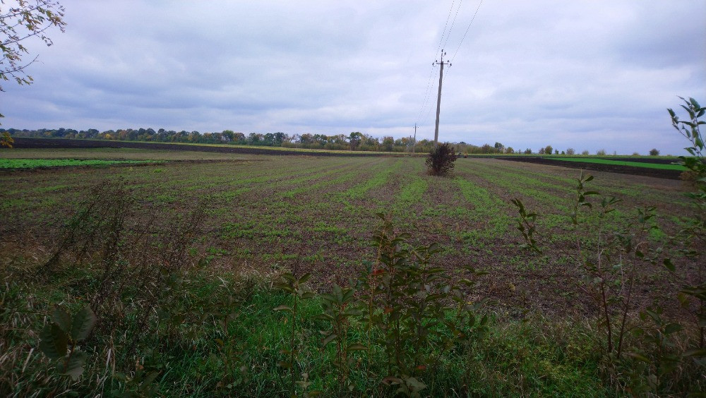 Продаж будинку в с. Лубʼянка, Рокитнянський район, Київська область Ракитное - изображение 11
