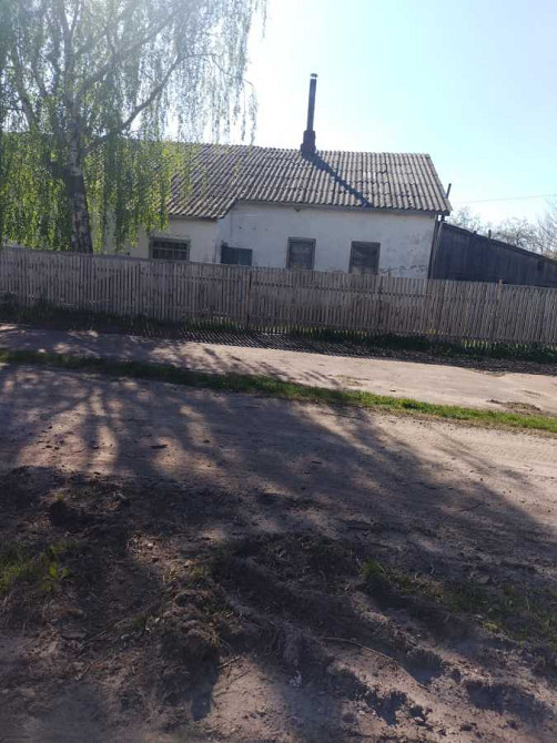 продажа производственные помещения Чернигов, Халявин, 45000 евро  - зображення 3