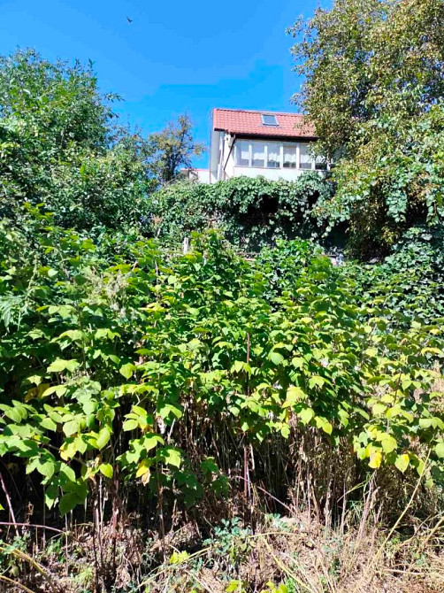 Продам будинок у Фастові Фастів - зображення 5