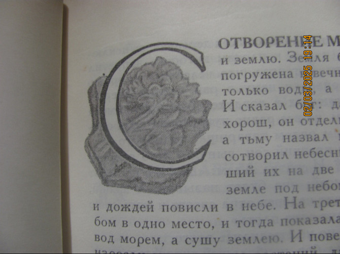 Но в итоге снова ссора) Принтер матричный паспорт не друкує 1835 г. Донецк - изображение 9