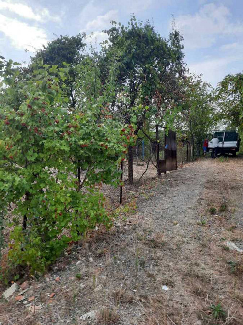 продажа участок под жилую застройку Ужгород, 13500 $ Ужгород - зображення 4