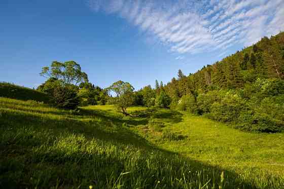 Земельна ділянка в Микуличині 1.40 га Яремче