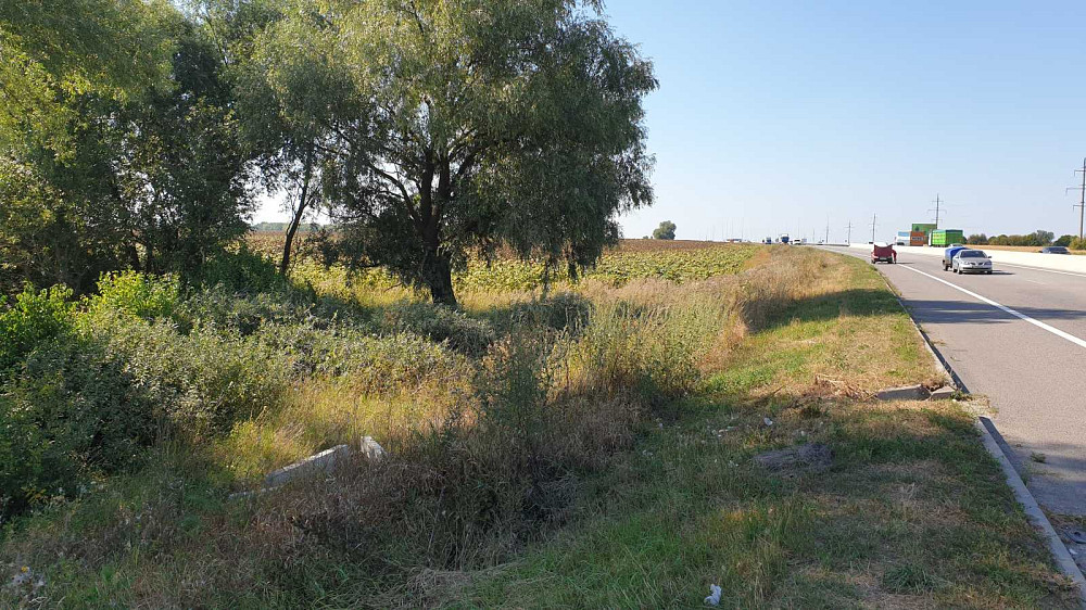 продажа земля коммерческого назначения Васильковский, Великая Солтановка, 23692000 грн.  - зображення 2