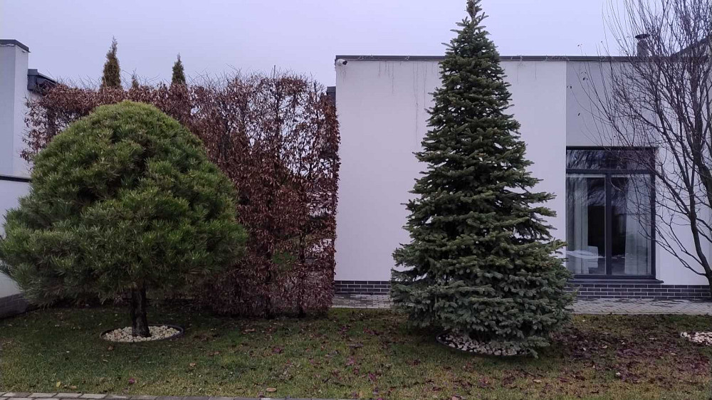 продажа 4-к дом Киево-Святошинский, Дмитровка, 400000 $  - изображение 8