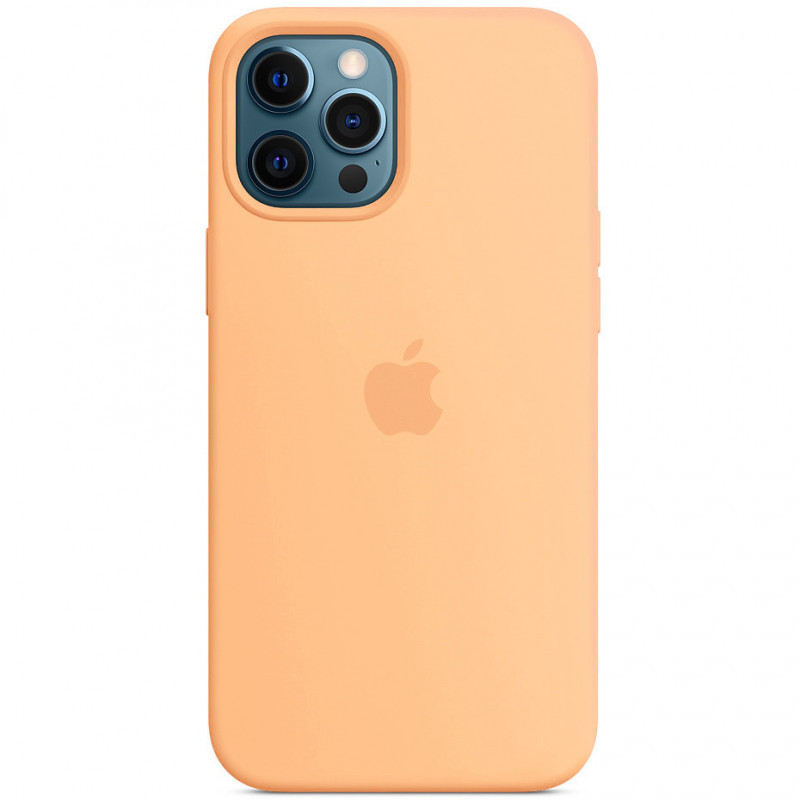 Чехол Silicone case (AAA) with Magsafe для Apple iPhone 12 Pro Max (6.7") Херсон - зображення 1