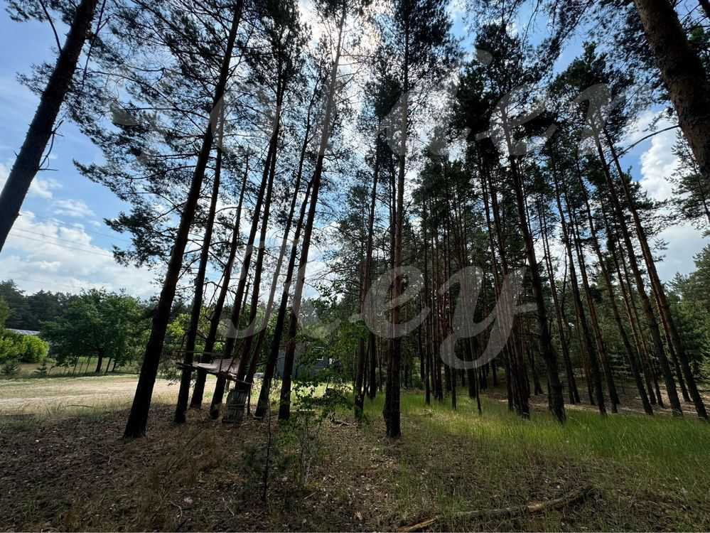 продажа участок под жилую застройку Бориспольский, Процев, 88000 $  - зображення 9