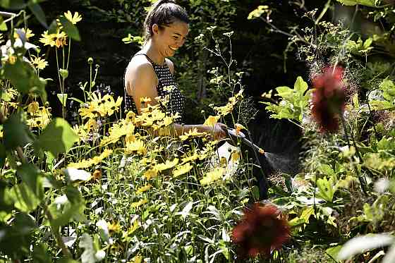 Опрыскиватель HoZelock 4124 1 л прозрачная колба Киев