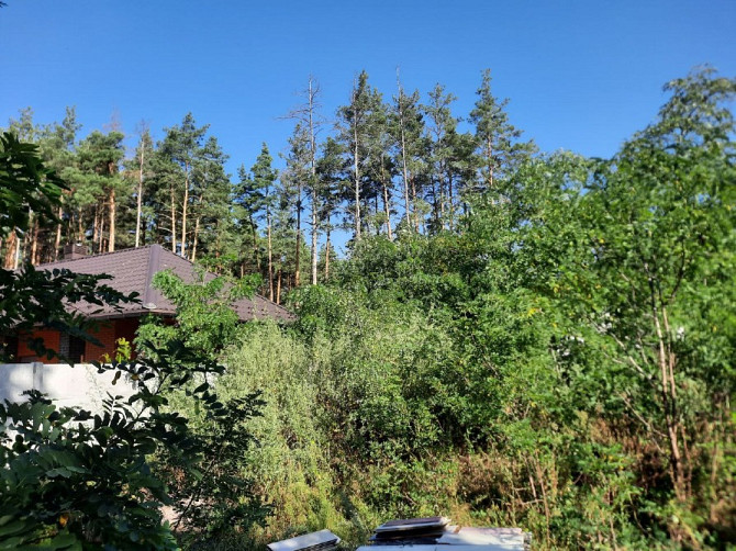 🏡 Будинок зі зрубу біля лісу в с. Нижча Дубечня — всього 25 км від Києва! Вишгород - зображення 4