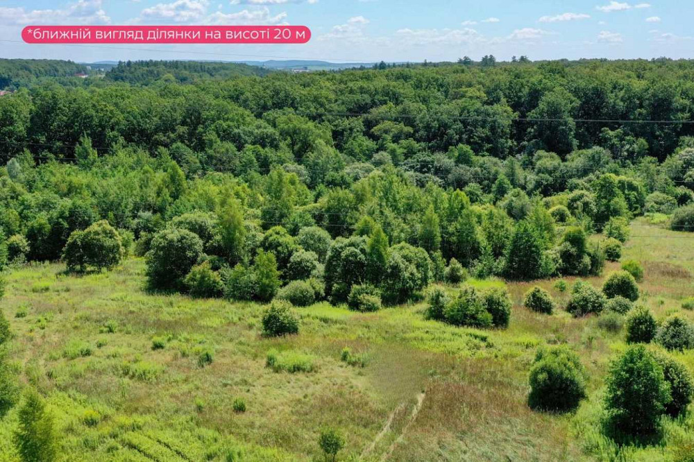 продажа земля сельскохозяйственного назначения Пустомытовский, Пасеки-Зубрицкие, 40000 $  - зображення 5