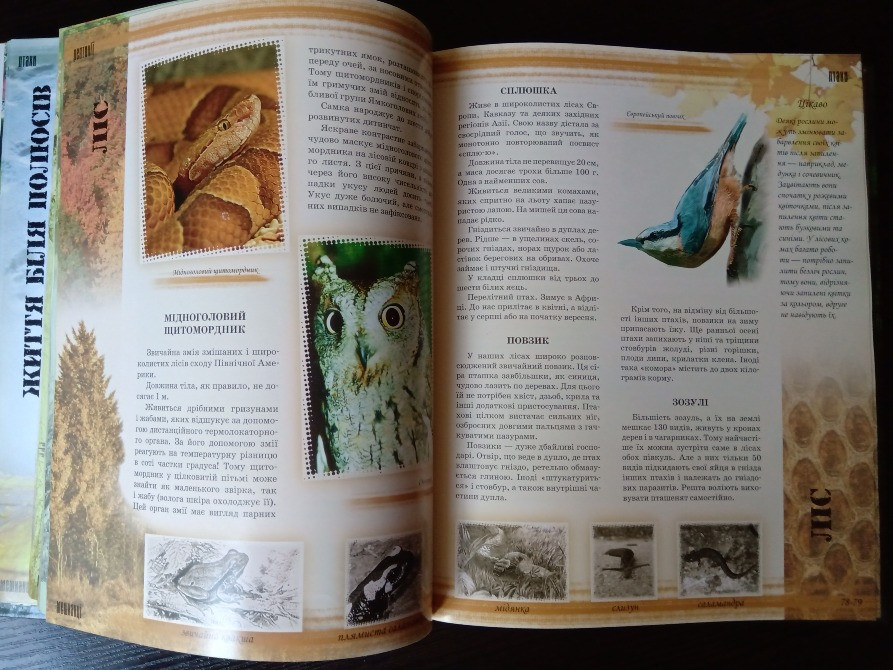 Книга Світ тварин. Львов - изображение 9