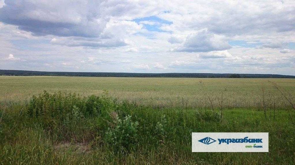 продажа земля сельскохозяйственного назначения Макаровский, Мостище, 1339000 грн.  - зображення 7