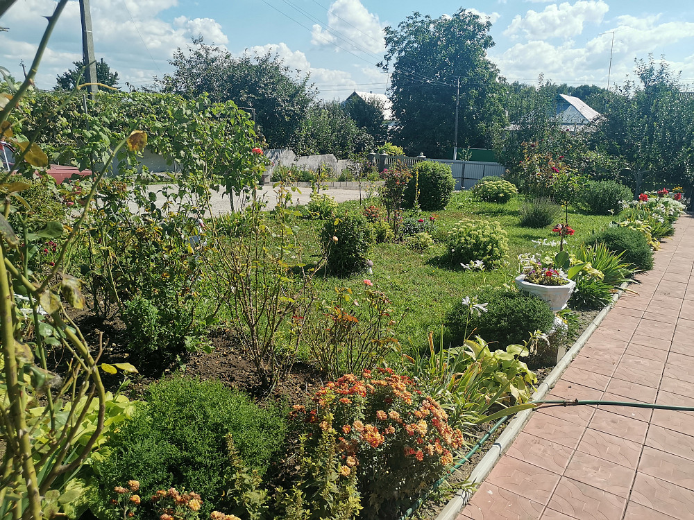 Продам затишний будинок в (с. Насташка) Білоцерківського району , 100 км. Біла Церква - зображення 8