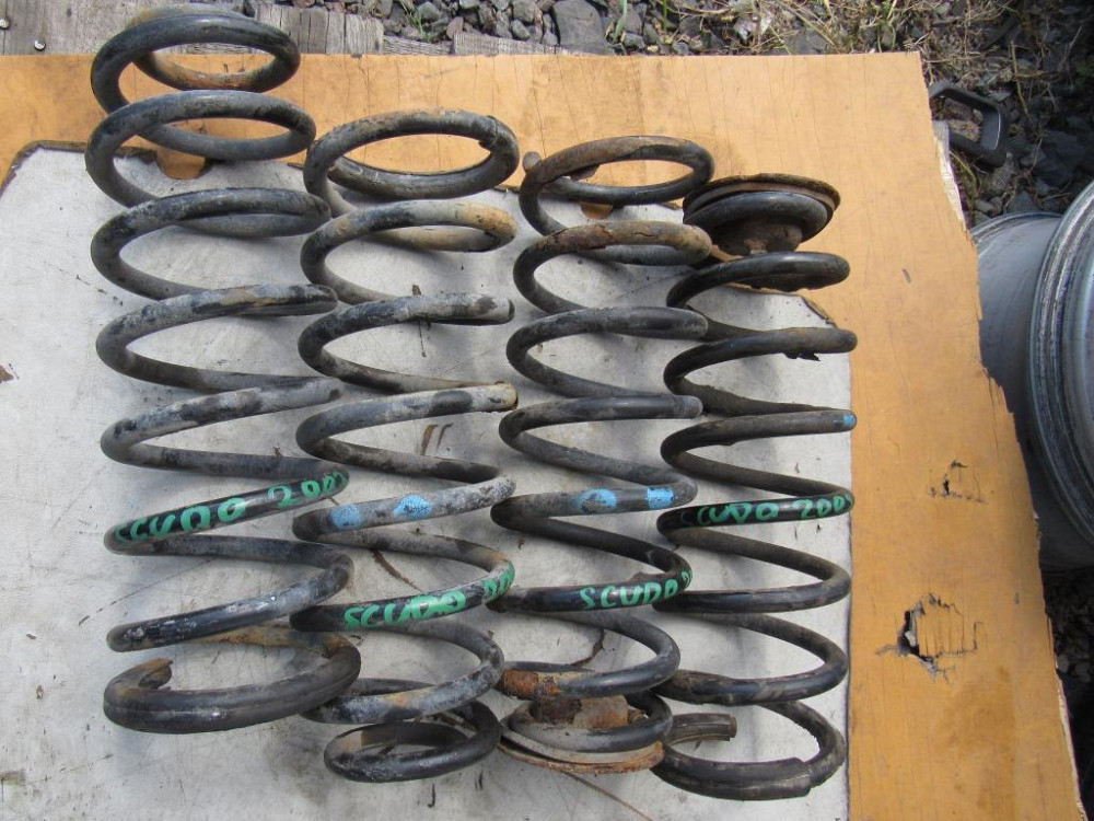 Пружина задняя Peugeot Expert 1996-2006 Ковель - зображення 2