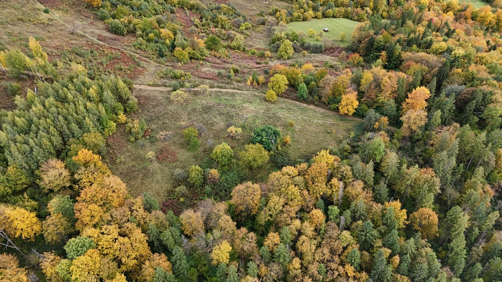 Земельна ділянка в Яремче 0.76 га Яремче - зображення 3