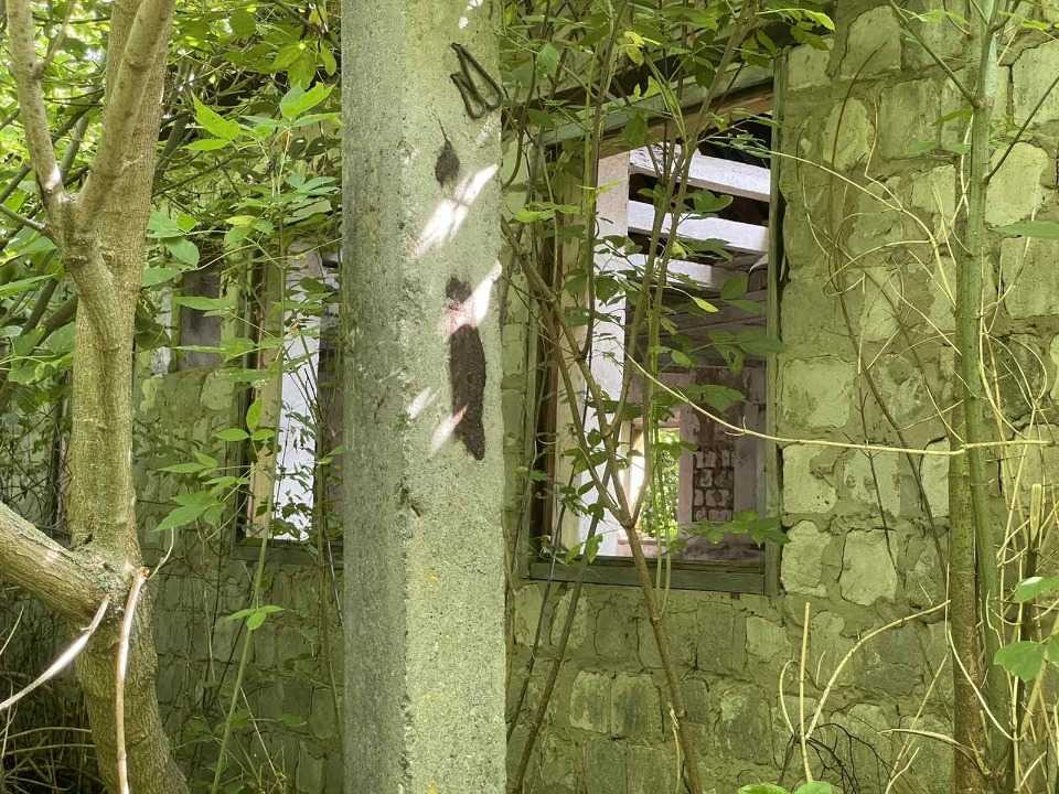 продажа помещения свободного назначения, здания Гадячский, Березовая Лука, 27636 грн.  - изображение 3