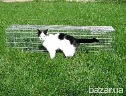 Живоловка для кота. Котоловка. Купить клетку для отлова котов Киев - изображение 2