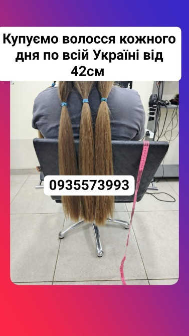 Скуповуємо волосся в Миколаєві та по всій Україні від 42см -0935573993 Житомир - зображення 1