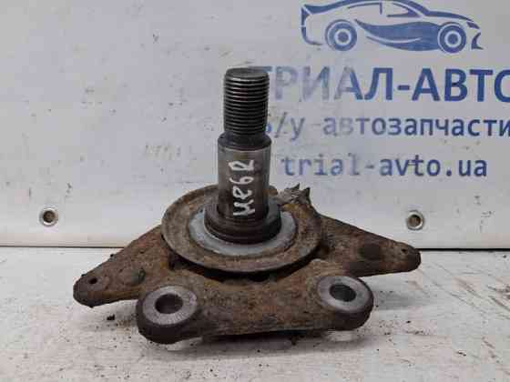 Цапфа задняя левая Renault Megane 2008-2016 430190028R (Арт. 64209) Киев