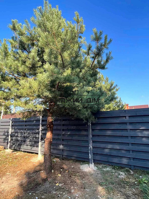 Продаж будинку 100м2 в соснах с.Северинівка № 1152005 Київ - зображення 7