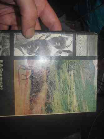 Реально "брат сё Ольга", Сванидзе" в Запорожье книги, не дурак) Казбек* Донецьк