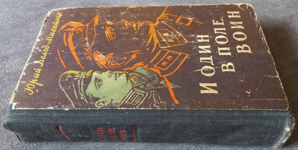 И один в поле воин. Юрий Дольд-Михайлик Харьков - изображение 2