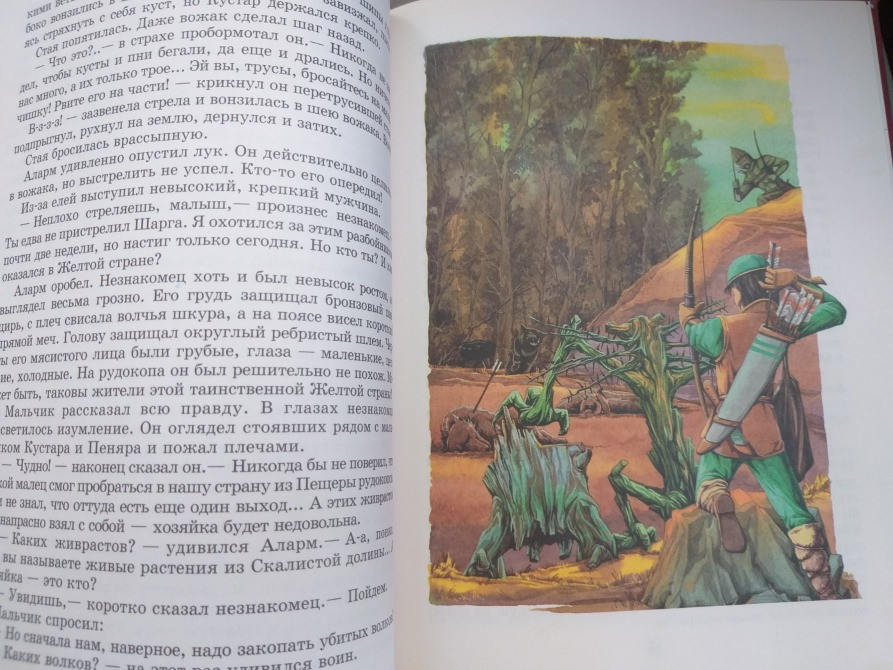 С. Сухинов Изумрудный город Фея . Секрет волшебницы . Меч чародея сказки Запорожье - изображение 10