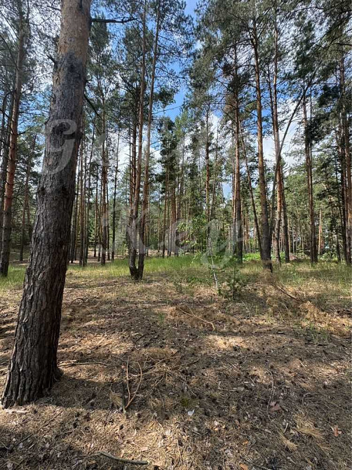 продажа участок под жилую застройку Бориспольский, Процев, 88000 $  - зображення 8