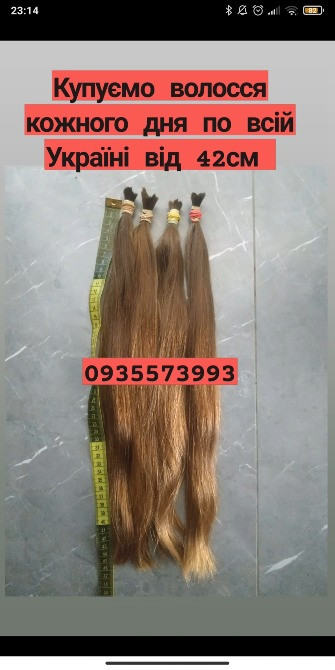 Продать волосся Тернопіль, купуємо волосся в Тернополі та по всій Україні від 42см -0935573993 Київ - зображення 1