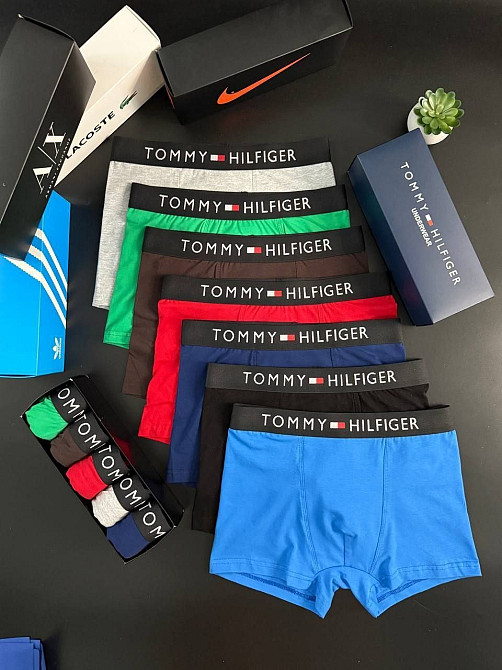 Мужские трусы Tommy Hilfiger Дніпро - зображення 1
