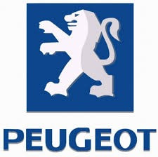 Запчасти б/у. Разборка Peugeot 206, 307, 406, 407, 508, 605, 806, Expert, Partner, Citroen Berlin Київ - зображення 1