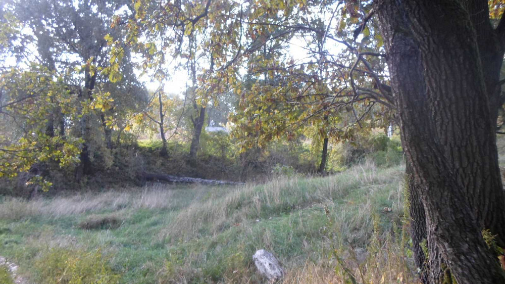 продажа земля коммерческого назначения Васильковский, Иванковичи, 110000 $  - зображення 3