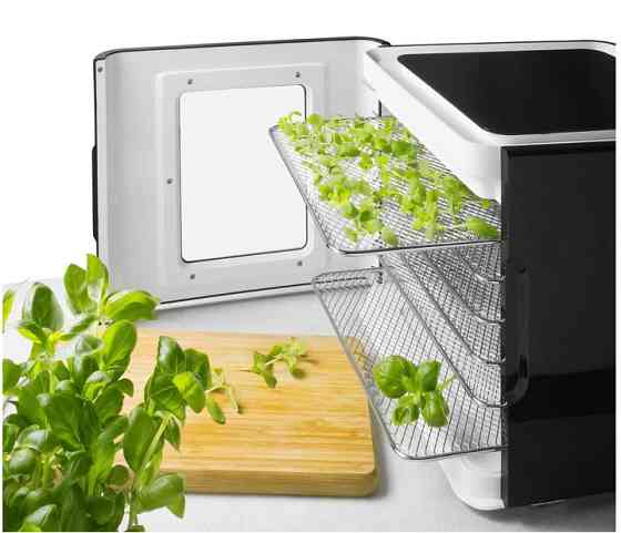 Сушилка для овощей и фруктов Philco PHFD 7067 400 Вт черная Киев