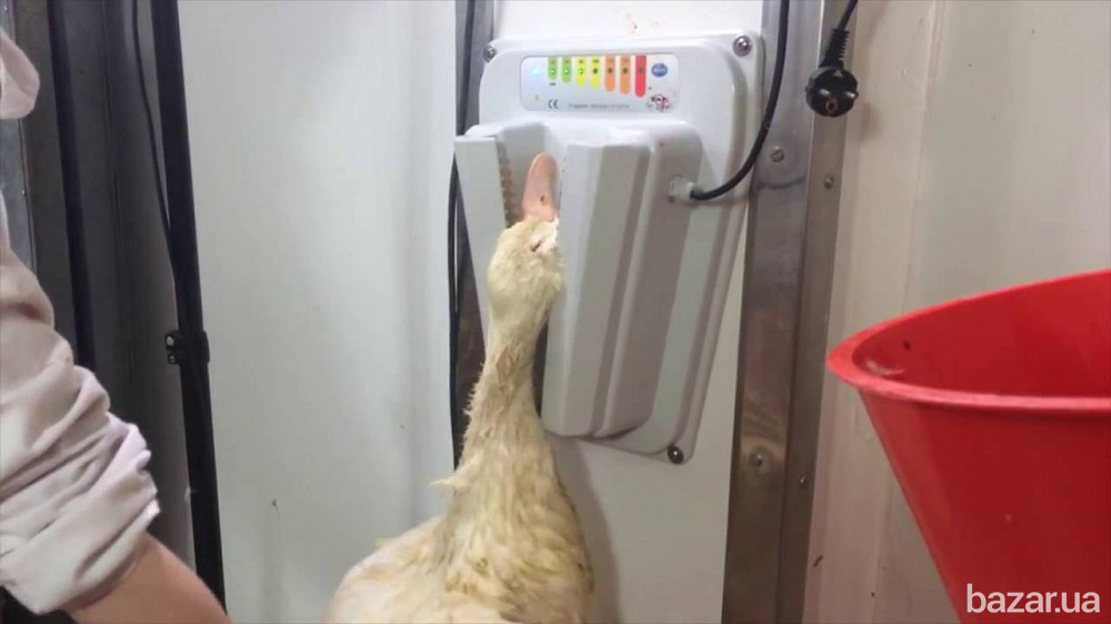 Устройство электрооглушения птицы Le Reve Львов - изображение 4