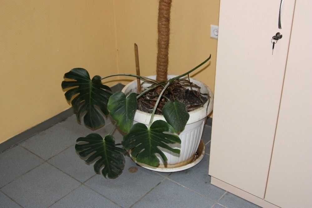 долгосрочная аренда комната Киев, Деснянский, 5499 грн./мес. Киев - изображение 5