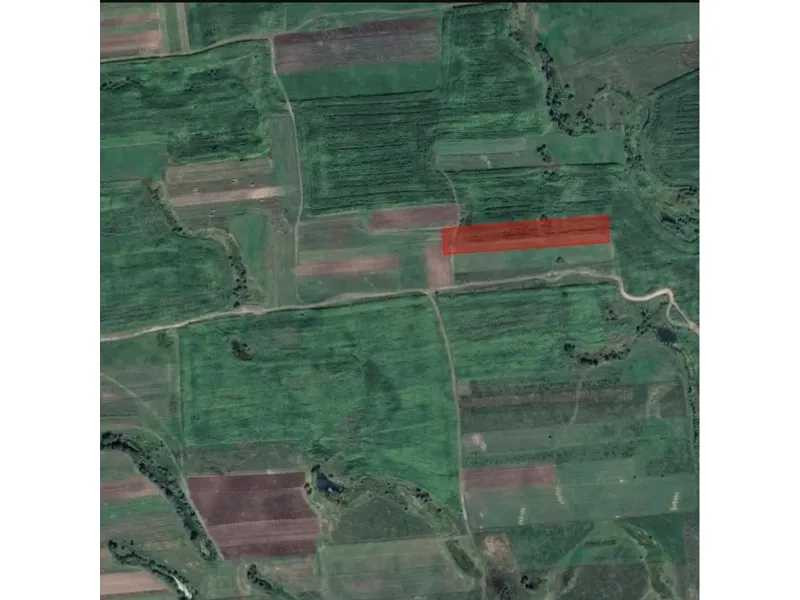 продажа земля сельскохозяйственного назначения Сарненский, Немовичи, 69700 грн.  - зображення 1