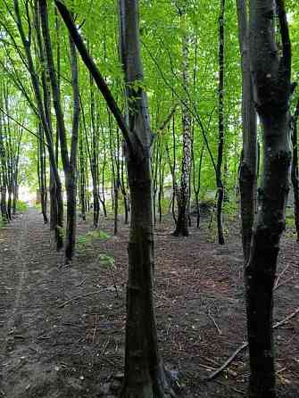 продажа земля коммерческого назначения Киев, Голосеевский, 400000 $ Київ