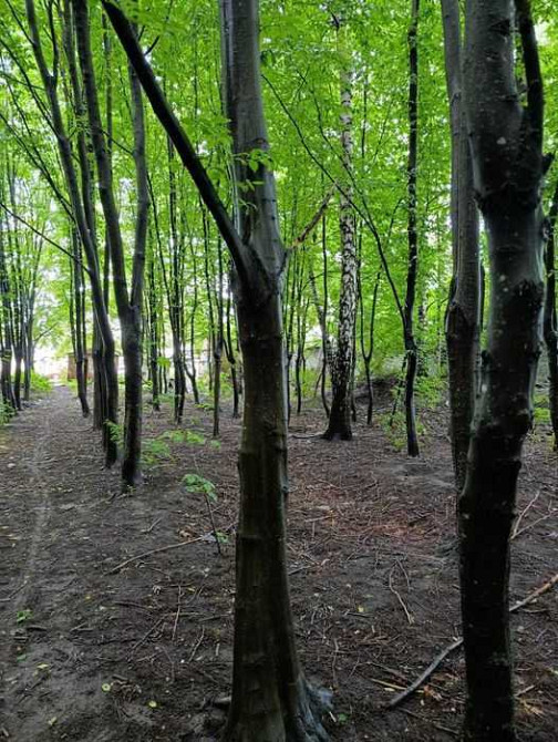 продажа земля коммерческого назначения Киев, Голосеевский, 400000 $ Киев - изображение 5