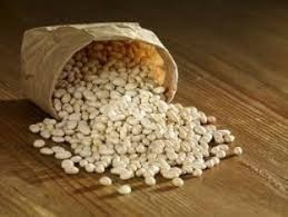 Купуємо білу квасолю від 10 т Ивано-Франковск - изображение 1