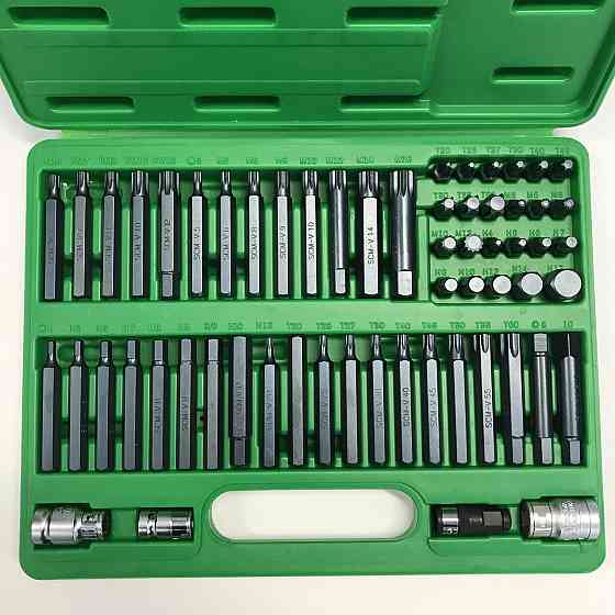 Профессиональный набор бит TORX, HEX, SPLINE, RIBE, SQ 60ед. TOPTUL GCAI6003 Харків