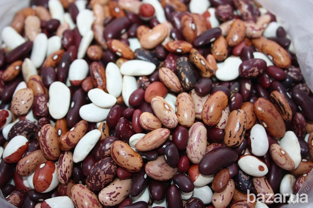 Квасоля опт з доставкою Вінниця - зображення 1