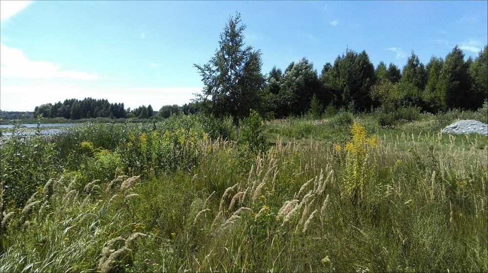 продажа участок под жилую застройку Обуховский, Козин, 128800 $  - изображение 4