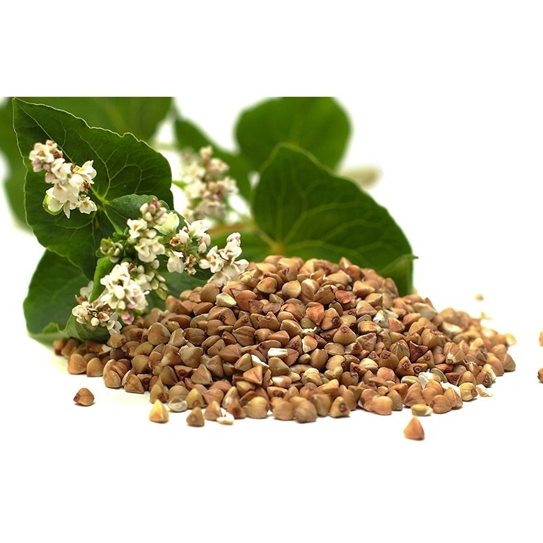 Реалізуємо гречку товарну від 5 тонн. Одеса - зображення 1