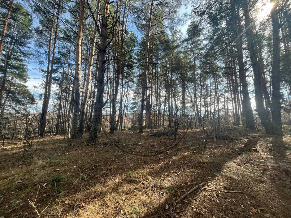 БЕЗ КОМІСІЇ ! Продаж земельної ділянки в Глевасі Код: № 264763 Київ - зображення 7