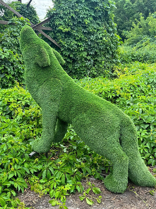 Воющий волк из искусственного газона под заказ Киев - изображение 2