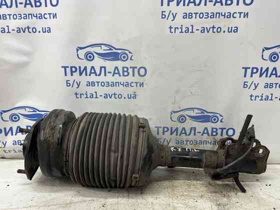 Амортизатор передний левый Lexus RX 350 2003-2009 4802048040 (Арт. 79432) Київ