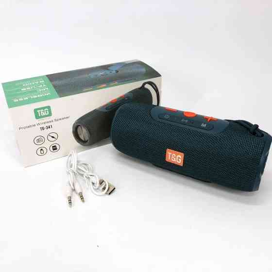 Колонка портативная Bluetooth T&G TG341 blue синяя Київ