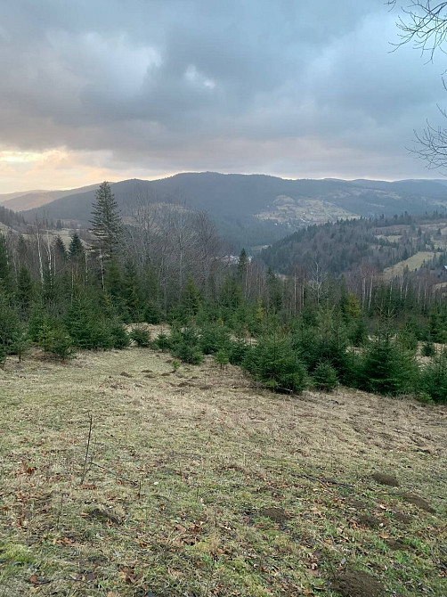 Земельна ділянка 0.35 га в Микуличині Яремче - зображення 2