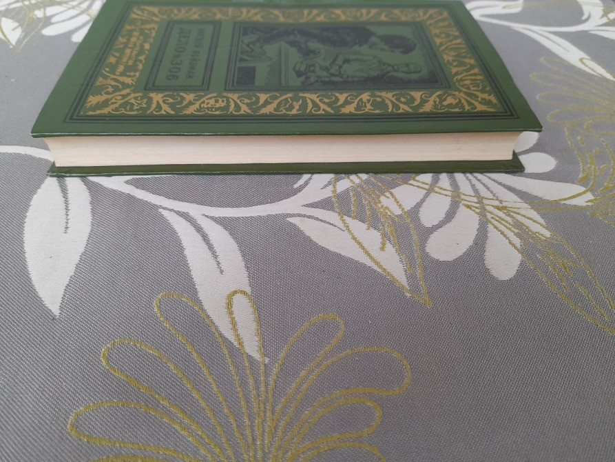 Матвей Ройзман Дело № 306 1968 БПНФ библиотека приключений фантастики Запоріжжя - зображення 11