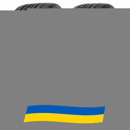 245/45 R21 Goodyear Eagle F1 Asymmetric AT SUV-4X4 104W Позашляхова шина Киев