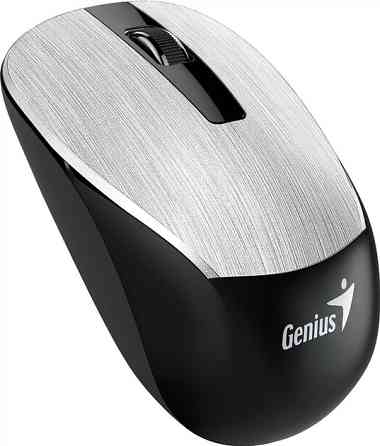 Мышь компьютерная безпроводная Genius NX-7015 Silver 31030019404 серебристая Киев